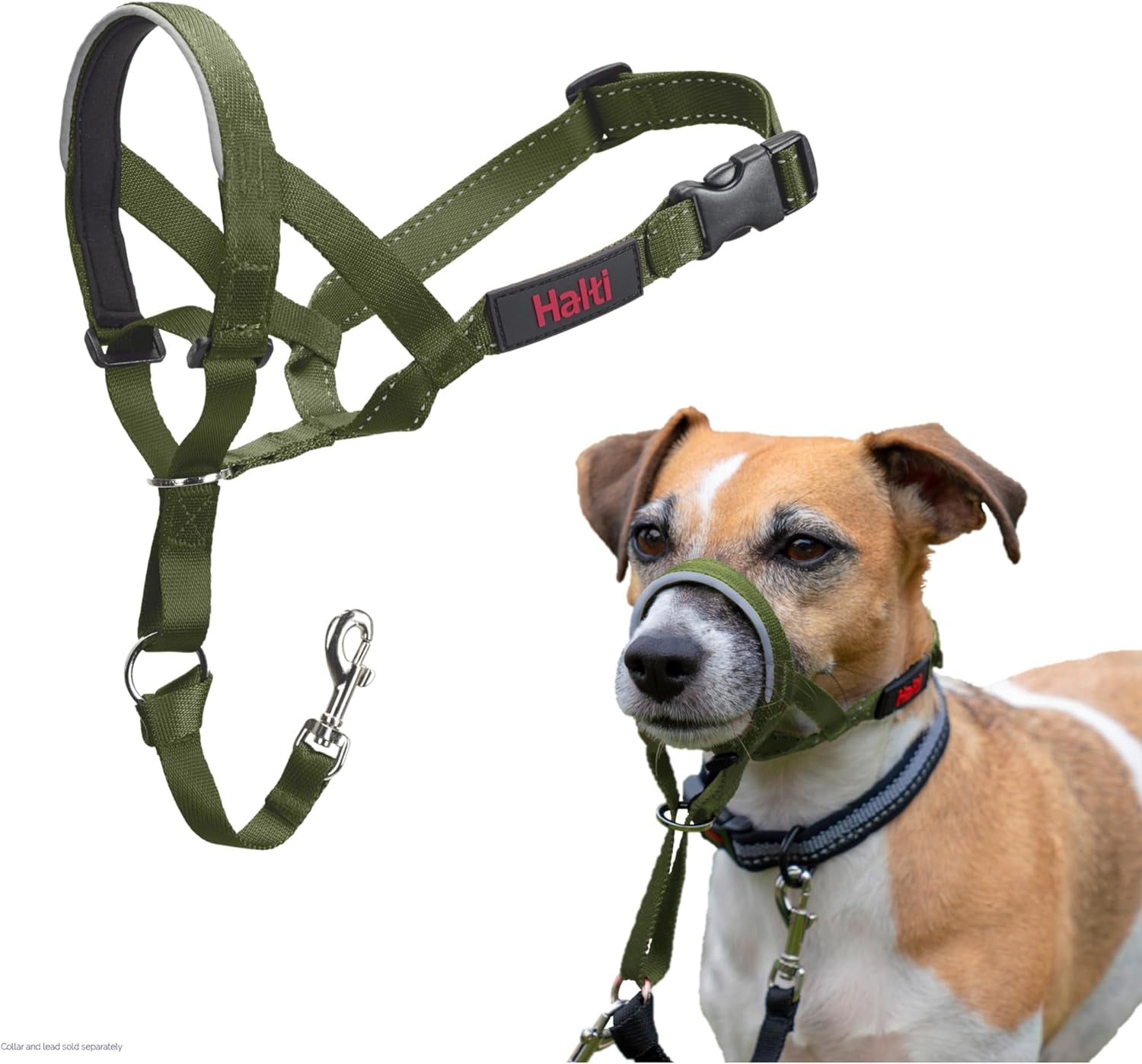 HALTI Headcollar for Medium Dogs - Adjustable, Reflective Anti-Pull Collar with Padded Nose Band