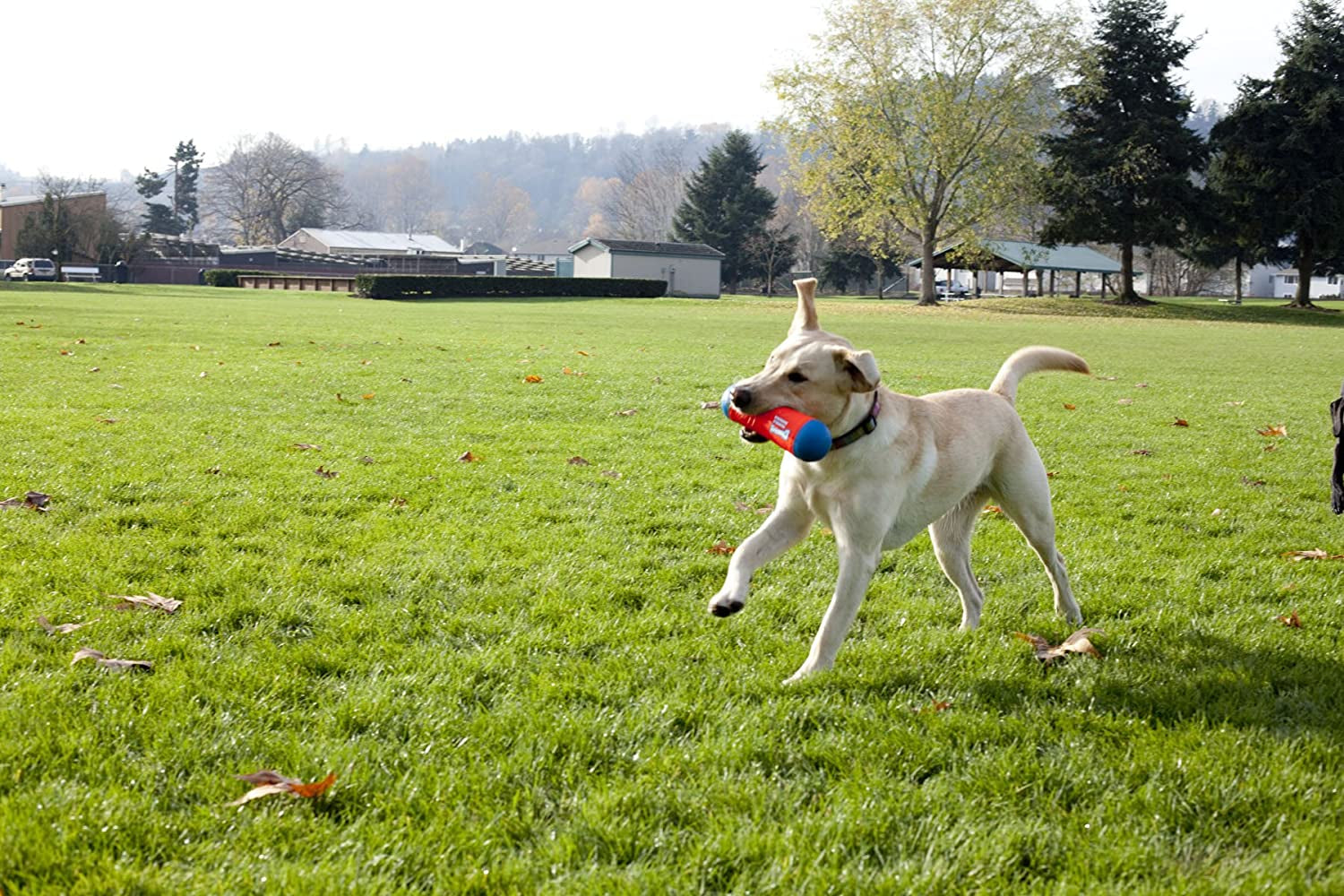 Chuckit! Amphibious Tumble Bumper Dog Toy – Large Floating Water Fetch Toy for Interactive Playtime, Durable & Lightweight