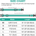 Joytale Large Reflective Dog Collar: Soft Neoprene Padded, Breathable Nylon, Adjustable, Teal