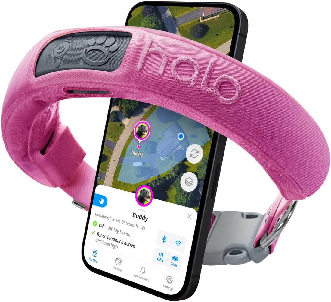 Halo Collar 3 – Wireless GPS Dog Fence & Training Collar with Real-Time Tracking, Waterproof and GPS-Enabled