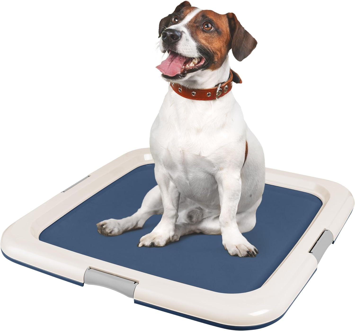 IRIS USA Pee Pad Holder – Non-Skid Leak Protection Tray, Secured Latches, Easy Clean Finish, Fits 20"x20" Pads