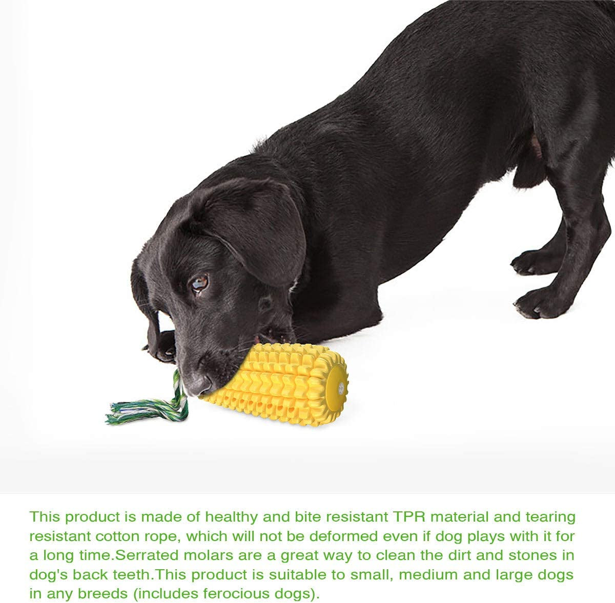 Carllg Tough Squeaky Dog Chew Toy: Durable, Interactive for All Dog Sizes, Corn Stick Design