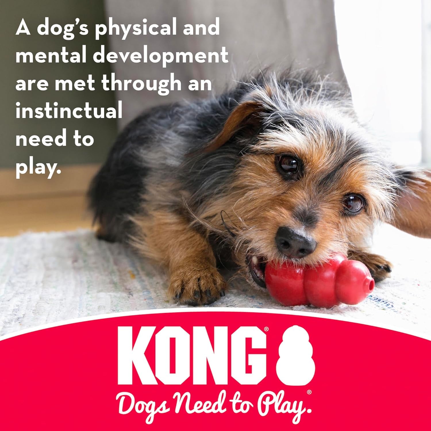 KONG Stuff-A-Ball - Durable Chew Toy for Dental Health, Stuffable with Treats, Large