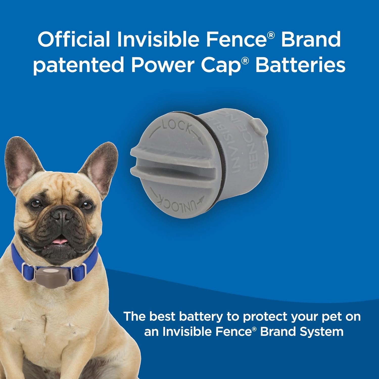 Invisible Fence Brand Power Cap Battery, Compatible with Microlite & Maxdog Computer Collars, Single Replacement Battery