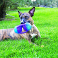 KONG Jumbler Disc, Durable Dog Toy for Interactive Playtime, Fetch, & Tug, Assorted Colors