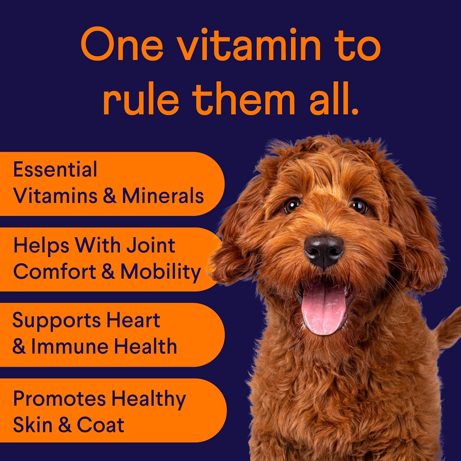 Finn All-In-1 Dog Multivitamin – Daily Soft Chews with Probiotics, Omega-3s, Glucosamine for Gut, Joint, Immune & Heart Health, 90 Chews