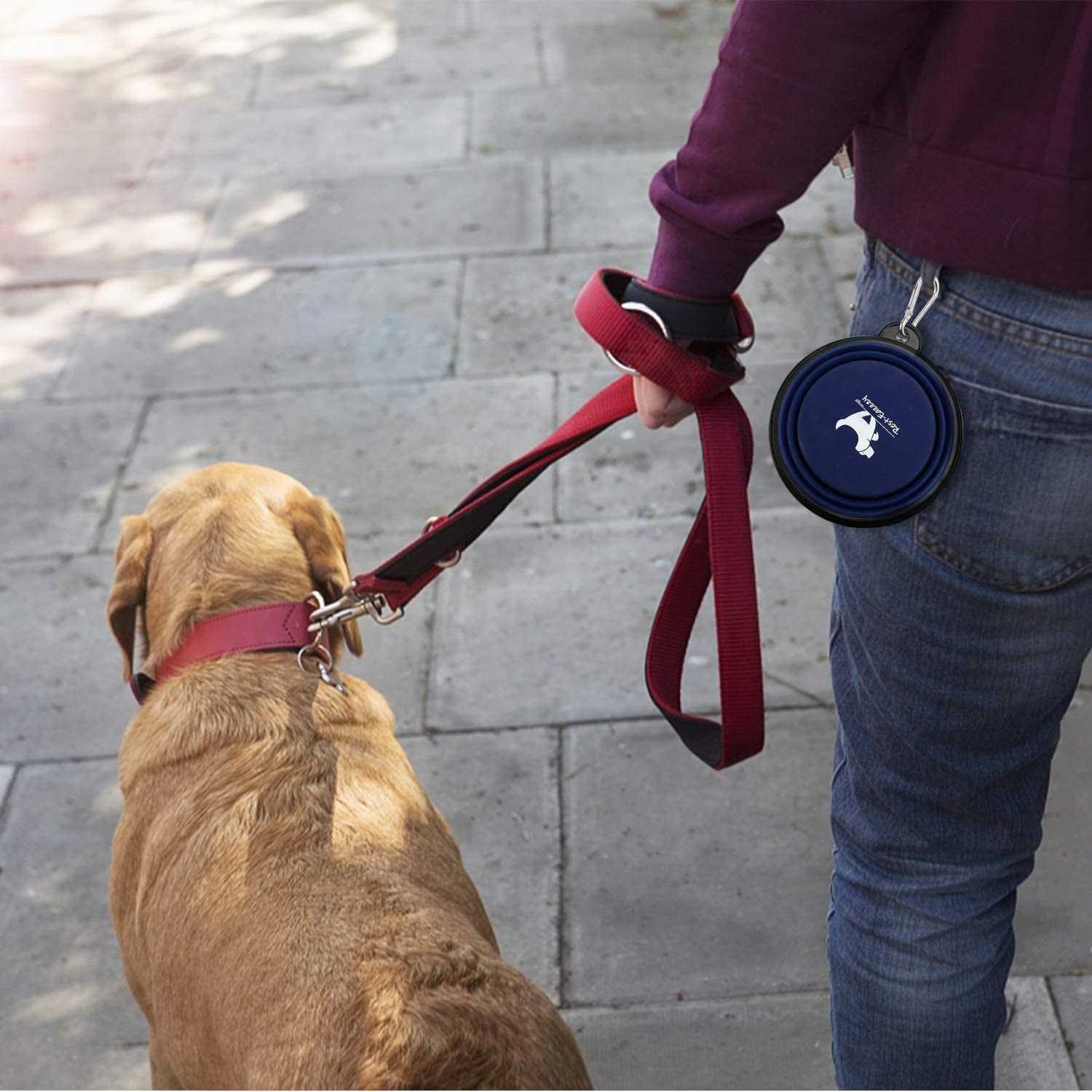 2-Pack Collapsible Dog Bowls with Carabiners: Portable, BPA-Free for Travel & Outdoor Activities