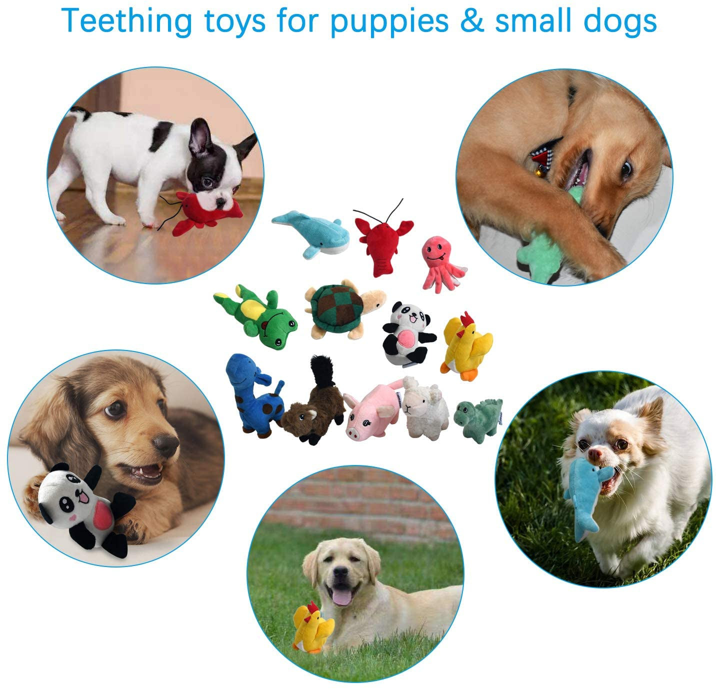 LEGEND SANDY Squeaky Plush Dog Toy Pack: 12 Small Chew Toys with Squeakers for Puppies