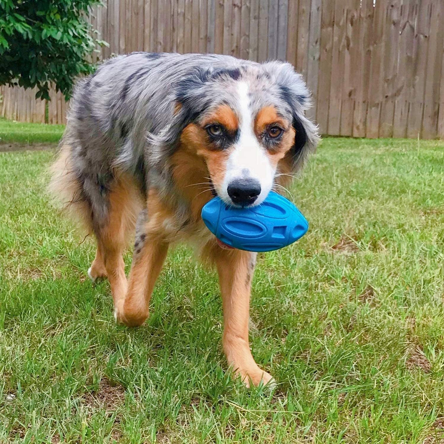 Squeaky Rubber Chew Ball for Aggressive Chewers - Durable and Almost Indestructible Pet Toy for Medium & Large Dogs