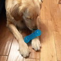 Non-Toxic Squeaky Toys Set for Dogs, TPR Rubber, Fetch & Teething Toys for Small to Medium Dogs