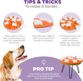 Outward Hound Nina Ottosson Dog Smart Puzzle: Interactive Treat Puzzle, Beginner, Orange