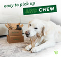 Benebone Medium Dog Chew Toys - 4-Pack for Aggressive Chewers, Made in USA, for Dogs up to 60lbs