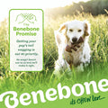 Benebone Medium Dog Chew Toys - 4-Pack for Aggressive Chewers, Made in USA, for Dogs up to 60lbs