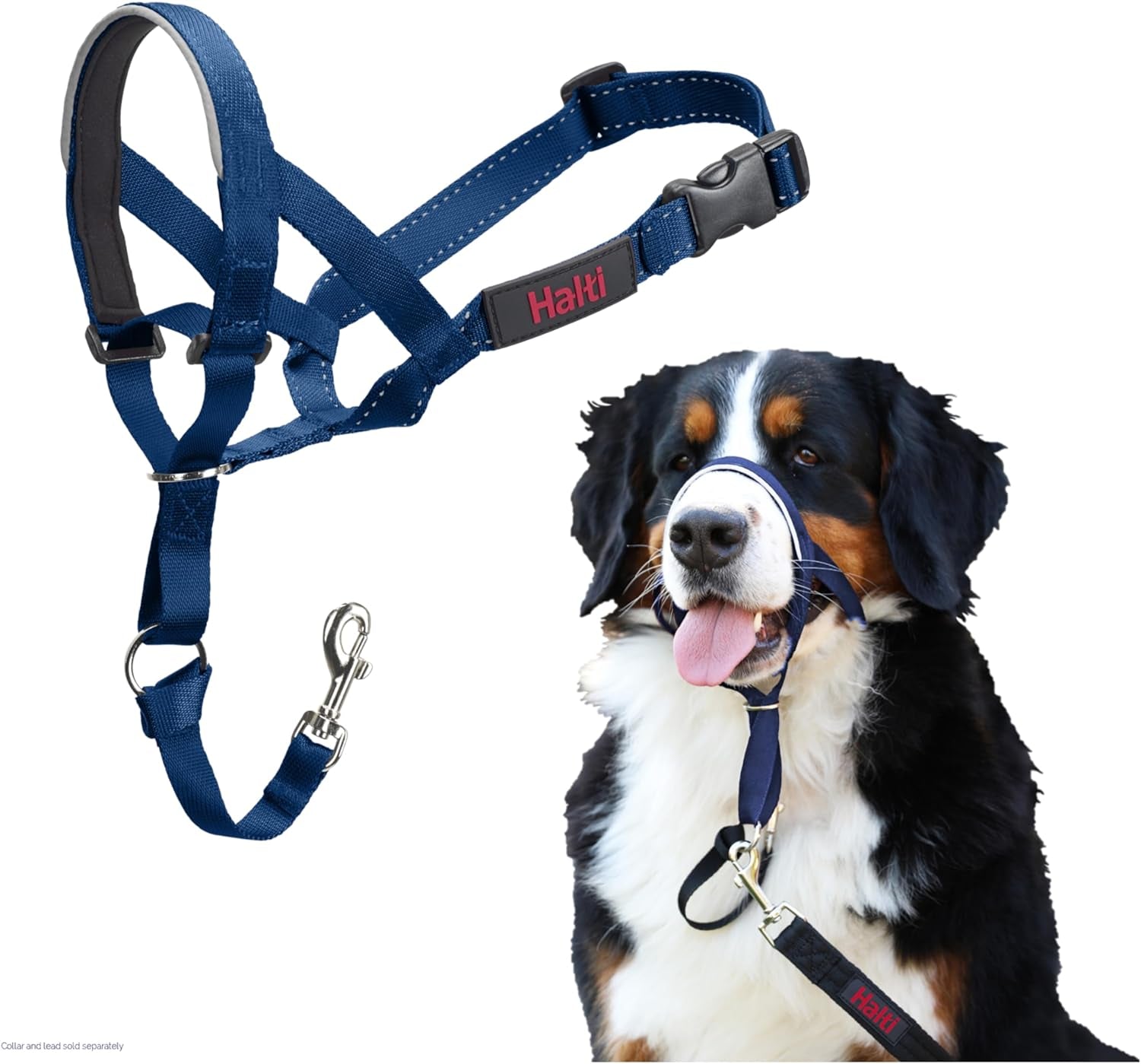 HALTI Headcollar for Medium Dogs - Adjustable, Reflective Anti-Pull Collar with Padded Nose Band