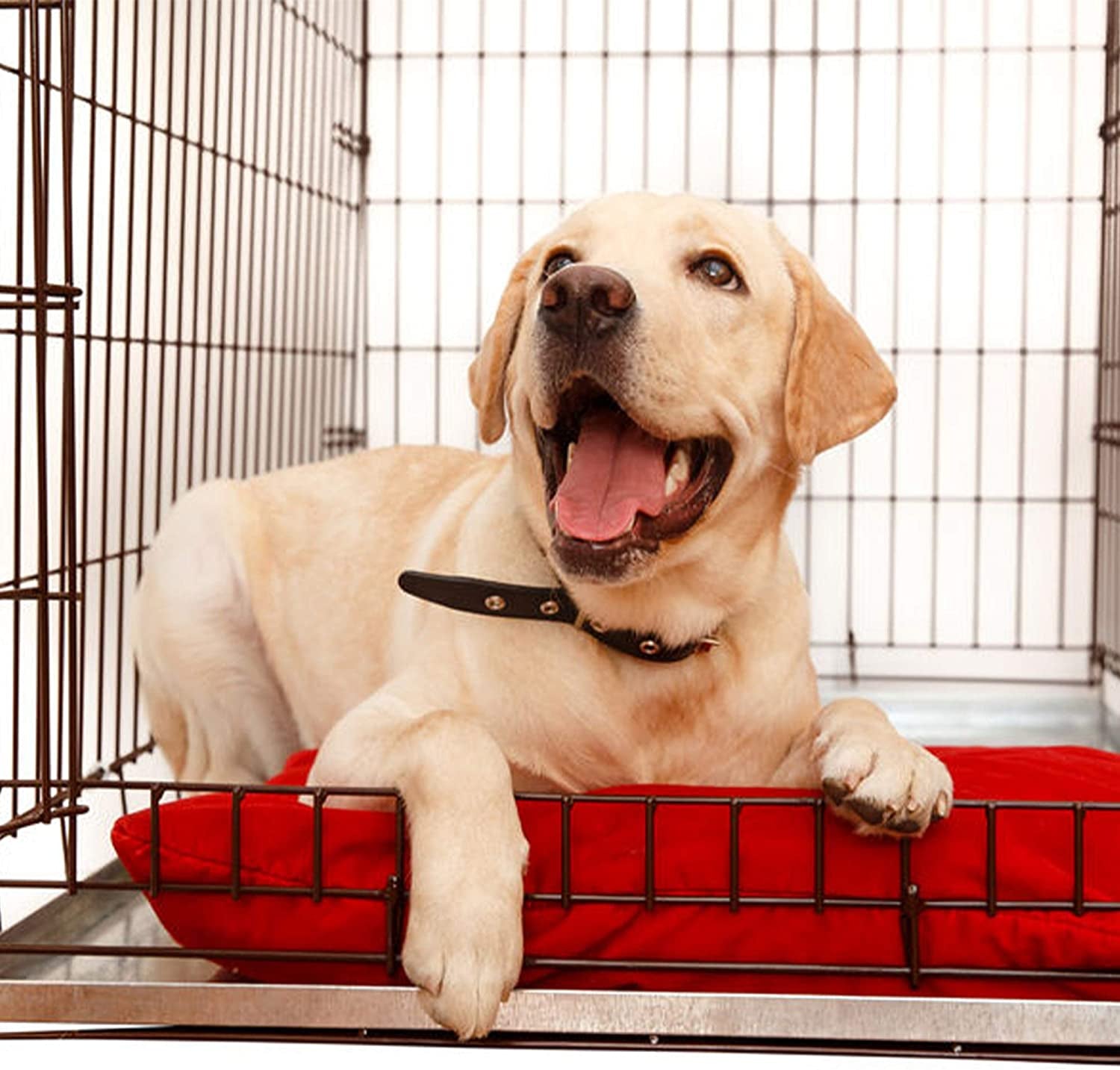 KOPEKS Heavy-Duty Galvanized Metal Tray for Dog Crates – Leak, Rust, and Chew-Proof Durable Tray