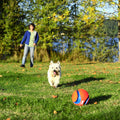 Chuckit Kick & Fetch Ball - Durable Dog Toy for Fetch, 8 Inch Diameter