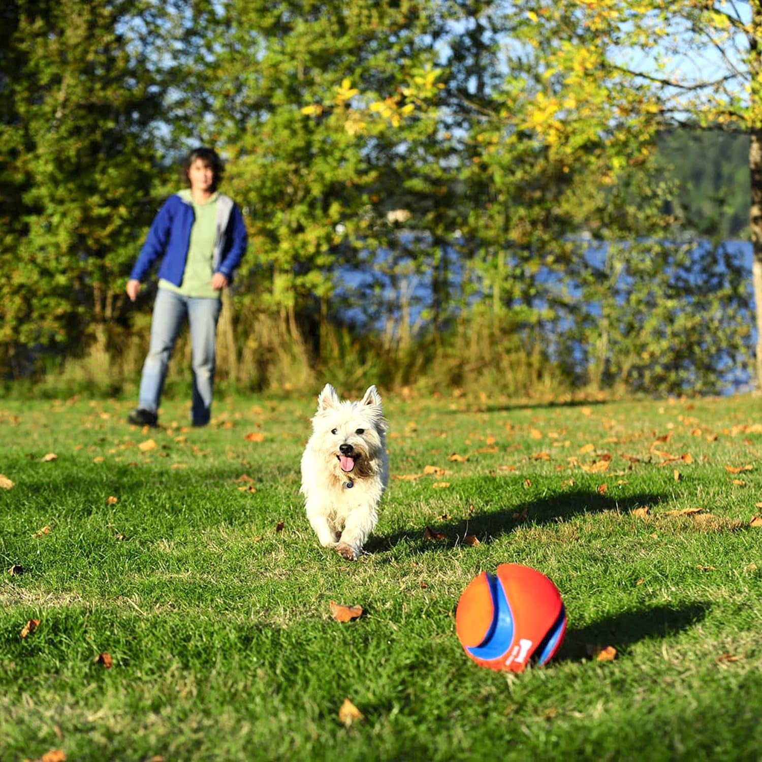 Chuckit Kick & Fetch Ball - Durable Dog Toy for Fetch, 8 Inch Diameter