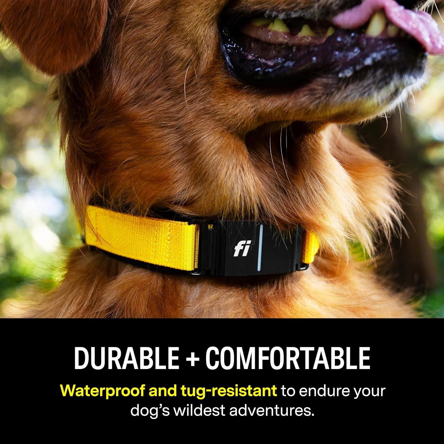 Smart Dog Collar – GPS Dog Tracker & Activity Monitor with Escape Alerts, Waterproof LED Light, Nationwide Coverage, 1-Year Free Membership
