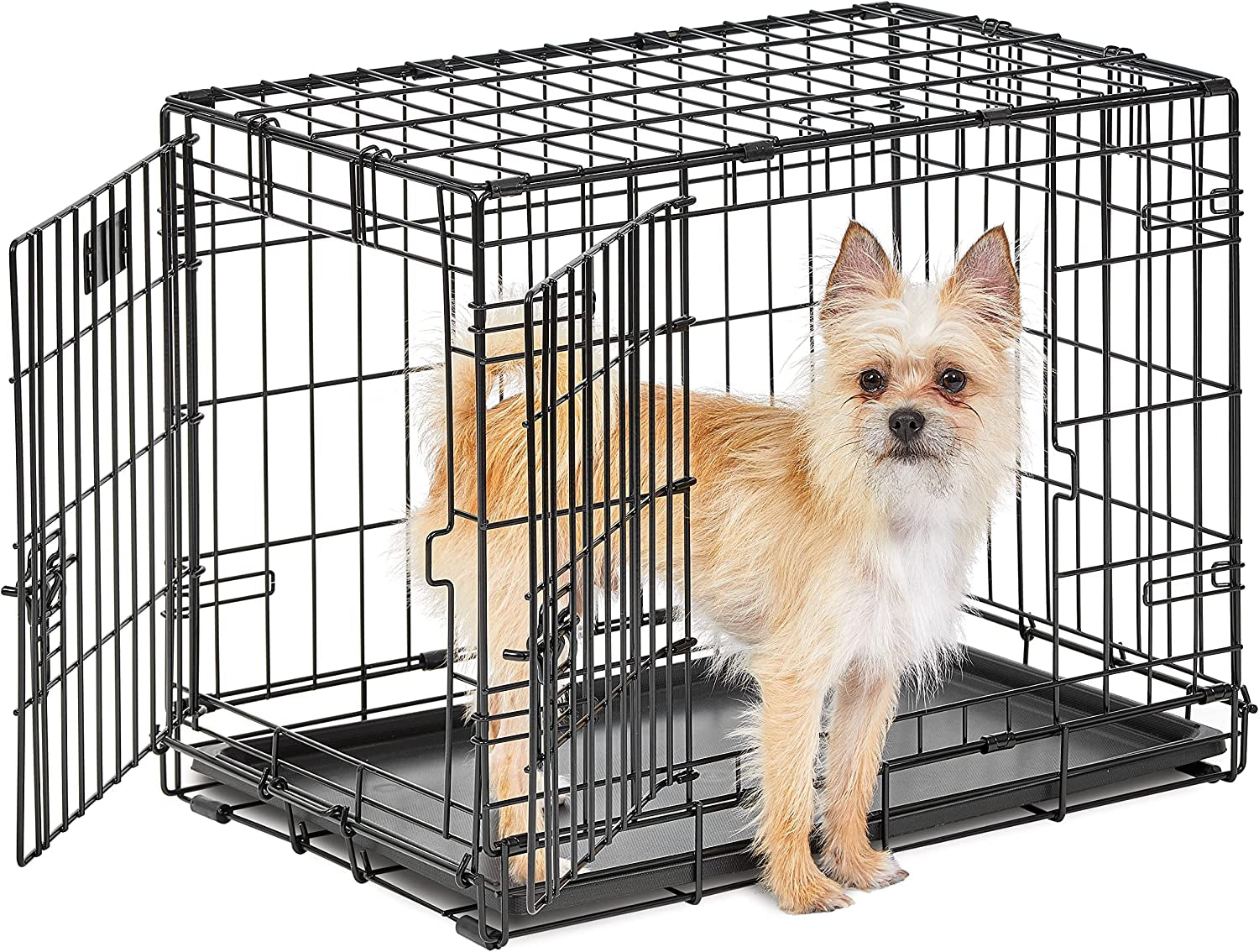 Midwest Life Stages 30" Double Door Folding Dog Crate - Medium Metal Dog Crate with Divider Panel, Floor Protecting Feet & Leak-Proof Pan