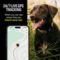 Smart Dog Collar – GPS Dog Tracker & Activity Monitor with Escape Alerts, Waterproof LED Light, Nationwide Coverage, 1-Year Free Membership