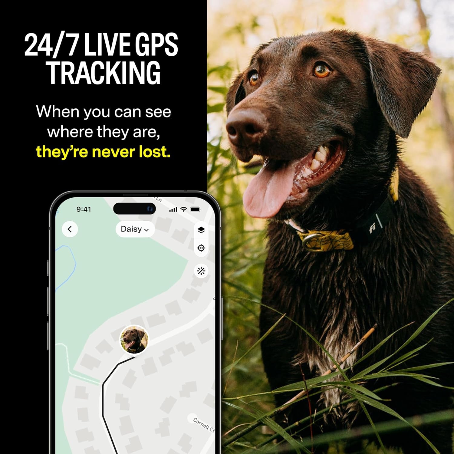 Smart Dog Collar – GPS Dog Tracker & Activity Monitor with Escape Alerts, Waterproof LED Light, Nationwide Coverage, 1-Year Free Membership