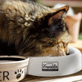 Franklin Sports Spill-Proof Portable Pet Bowl: 16 Oz, BPA-Free for Travel, White/Gray