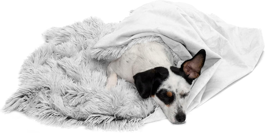 Furhaven Waterproof Plush Throw Blanket – Soft Calming Faux Fur & Velvet Washable Pet Blanket for Dogs, Mist Gray, Medium