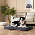 XL Orthopedic Dog Bed: Removable Washable Cover, Crate Compatible - Various Sizes & Colors