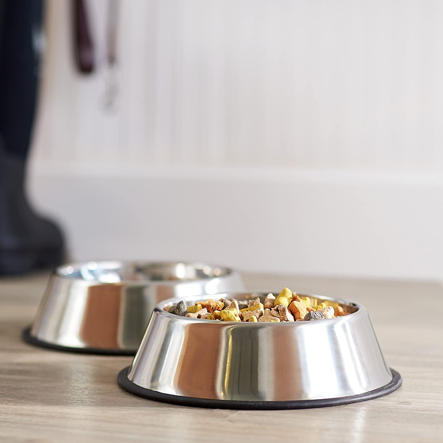 2-Pack Stainless Steel Dog Bowls: Non-Skid, 10x2.8 Inches, 4 Cups Each