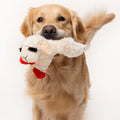 Multipet Plush Dog Toy, Lambchop, 10