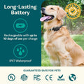 Wireless Dog Fence & Remote Training System for 2 Dogs, Non-GPS 2.4GHz with Beep, Vibration & Shock