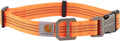 Carhartt Dog Collar - Brushed Brass Large, Various Sizes & Colors