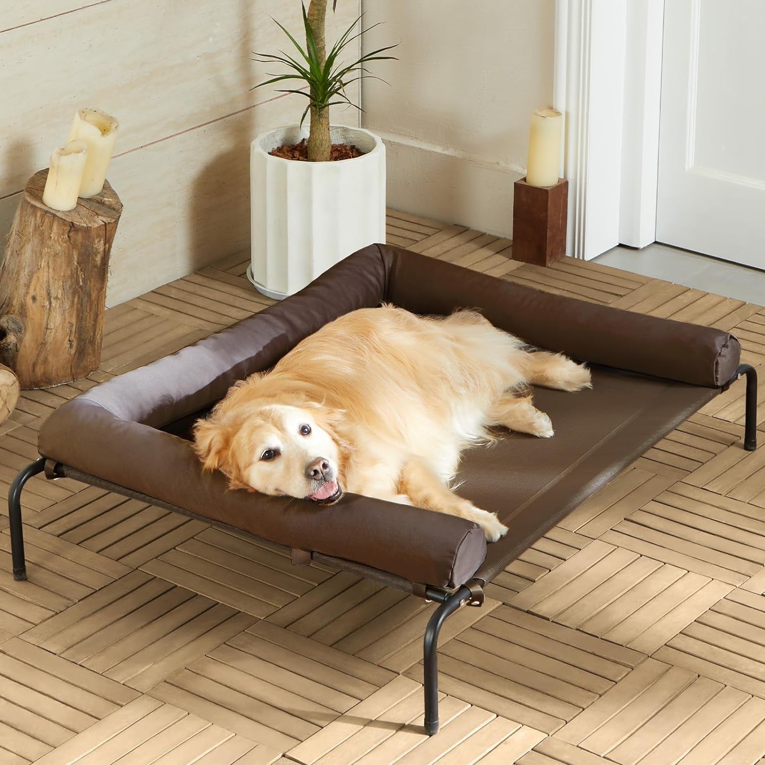 Elevated Cooling Dog Bed - Chew Proof Raised Pet Cot with Skid-Resistant Feet and Breathable Mesh