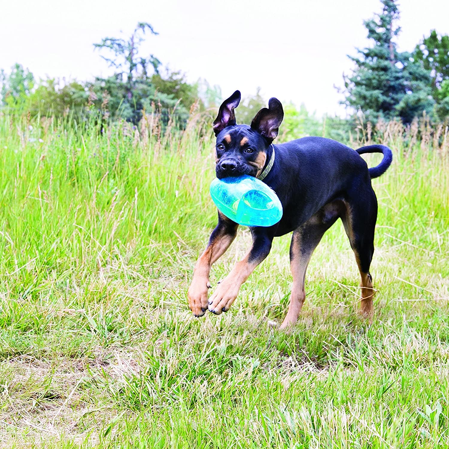 KONG Jumbler Football Dog Toy - Interactive Fetch Toy with Tennis Ball Inside, Durable Toy