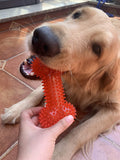 Non-Toxic Squeaky Toys Set for Dogs, TPR Rubber, Fetch & Teething Toys for Small to Medium Dogs