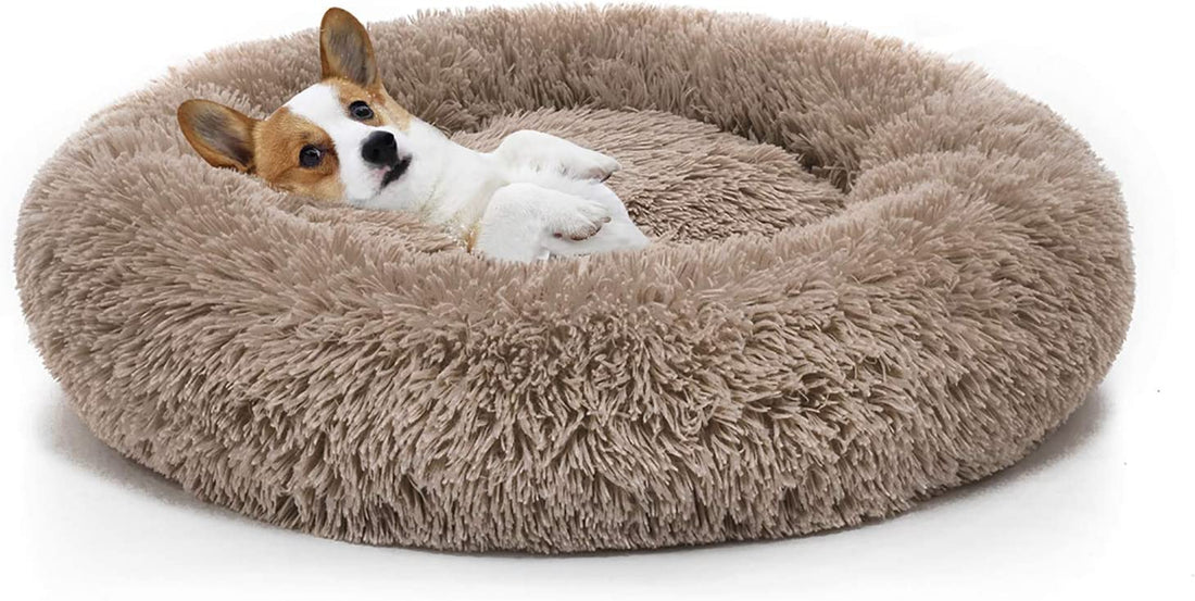 Perpets Donut Cuddler Dog Bed - Orthopedic, Ultra Soft, Washable, Rounded Shape