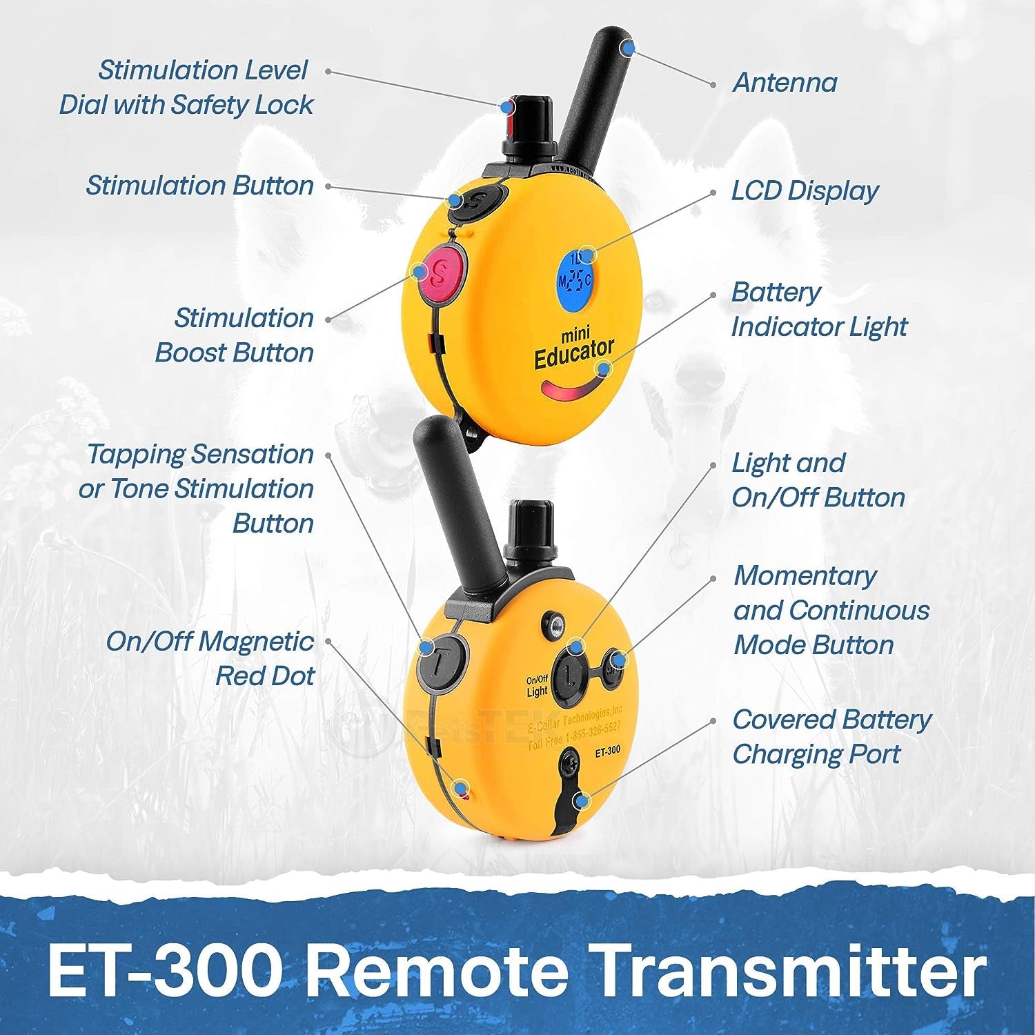 ET-300 Mini Educator E-Collar, 1/2 Mile Range, Waterproof, 100 Levels, Vibration & Sound, with Training Clicker