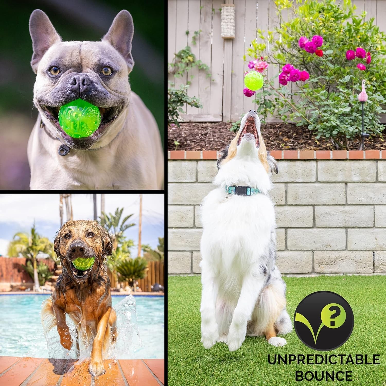 Durasqueak Dog Ball Toy, Floats & Squeaks, Durable Interactive Dog Fetch Ball