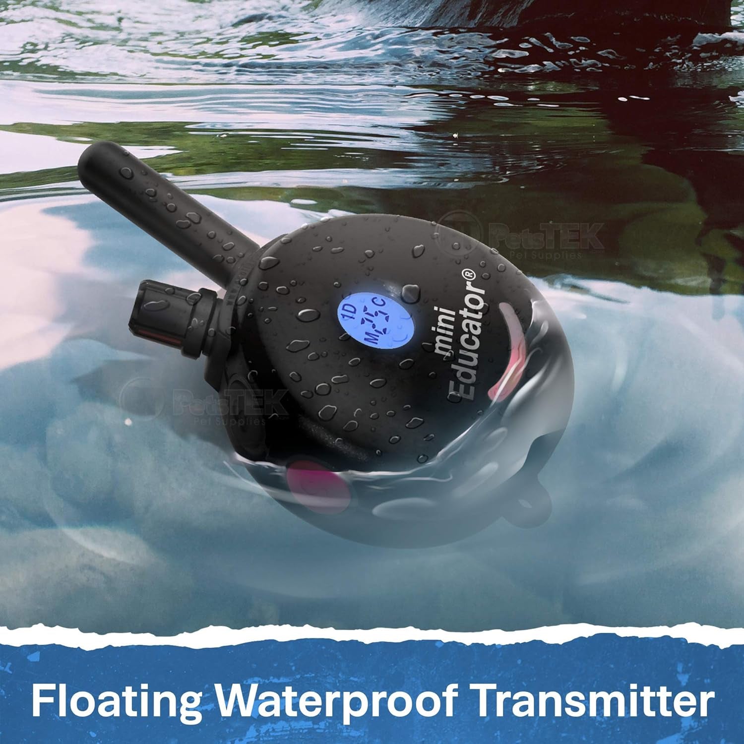Educator ET-300 Black Ecollar, 1/2 Mile Range, 100 Levels, Waterproof, with Training Clicker