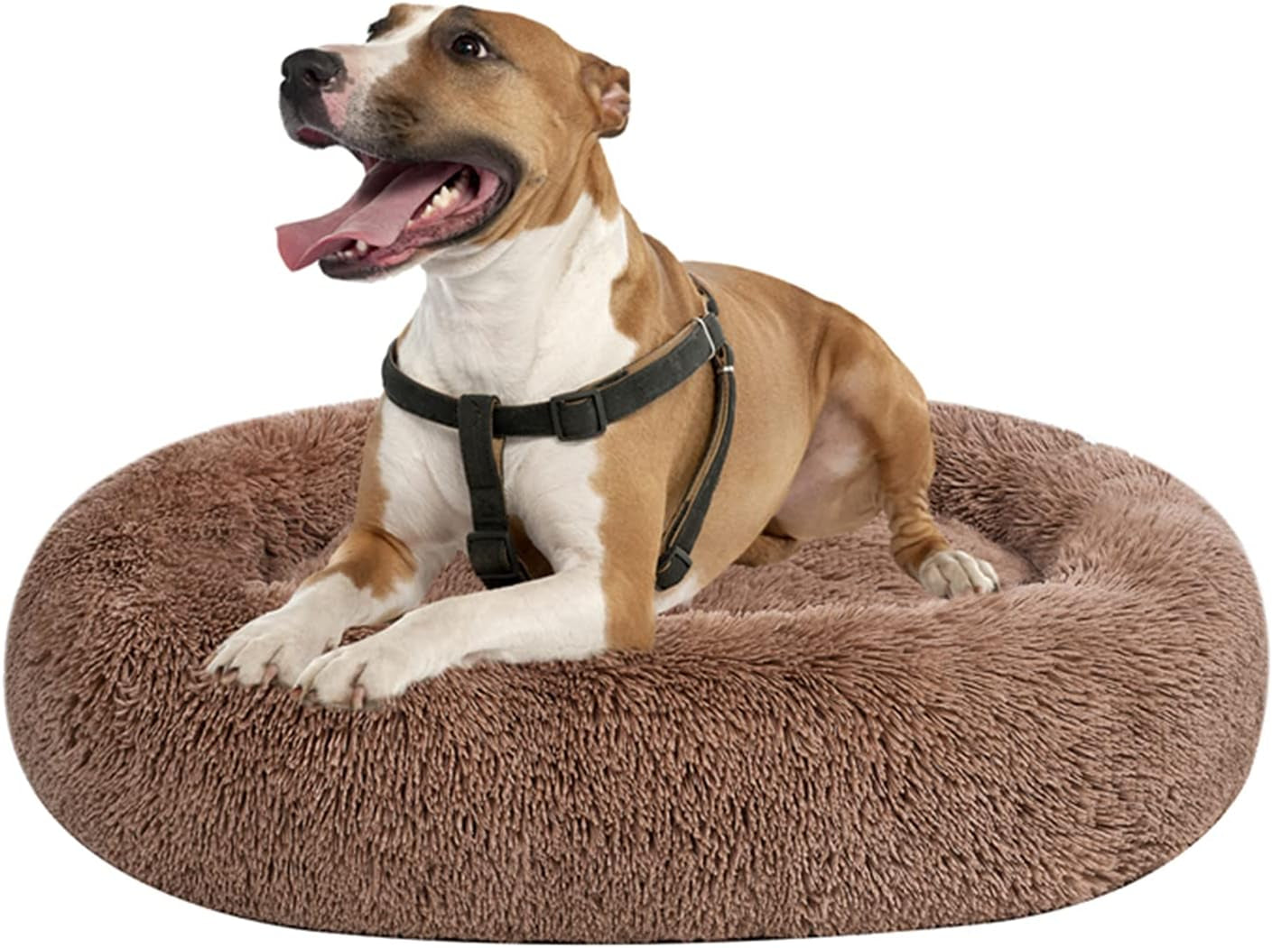 Coohom Oval Donut Cuddler Dog Bed 36", Shag Faux Fur, Washable - for Small & Medium Breeds