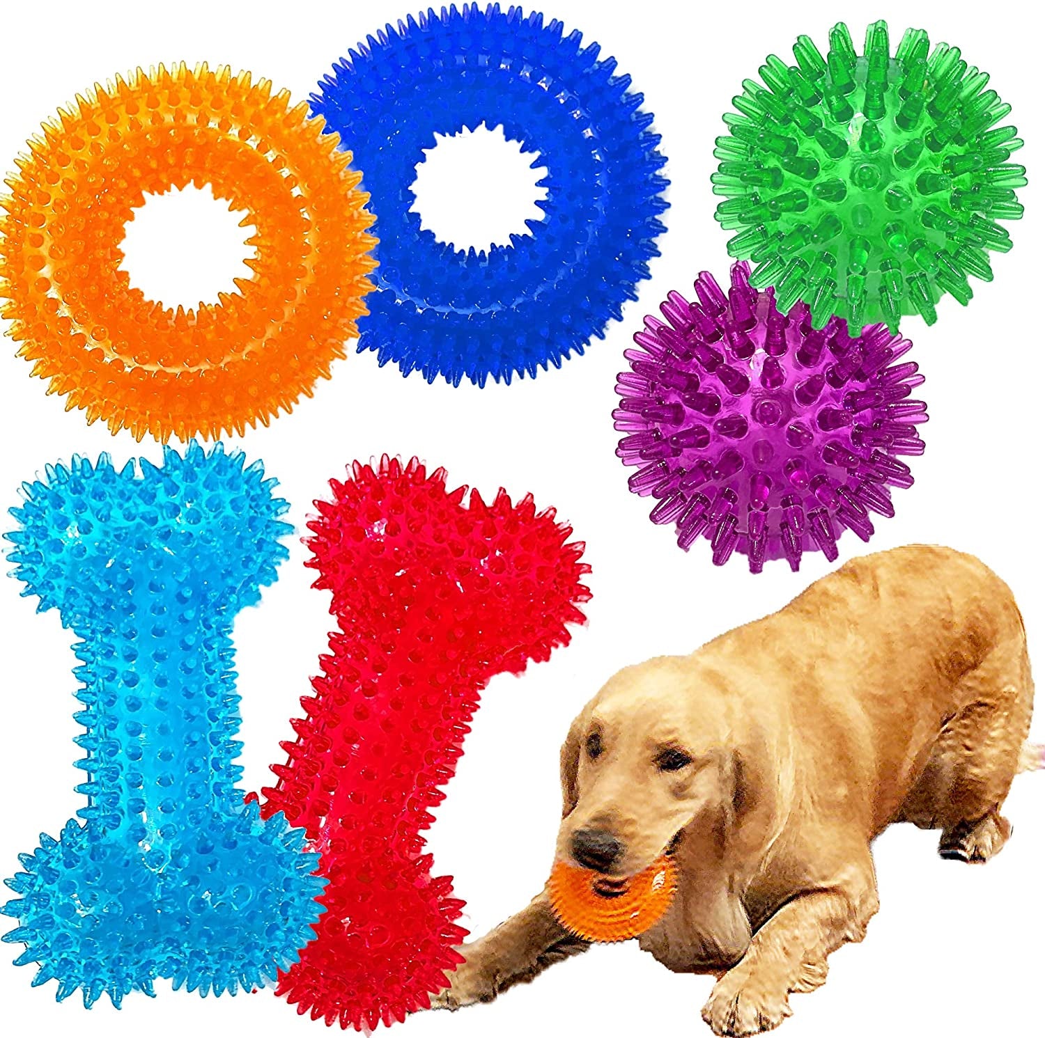 Non-Toxic Squeaky Toys Set for Dogs, TPR Rubber, Fetch & Teething Toys for Small to Medium Dogs