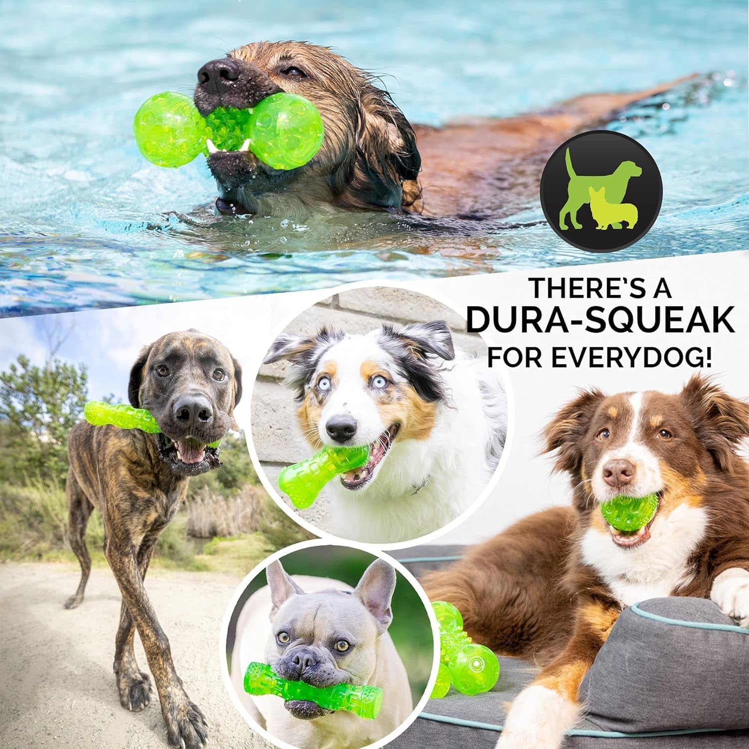 Durasqueak Dog Ball Toy, Floats & Squeaks, Durable Interactive Dog Fetch Ball