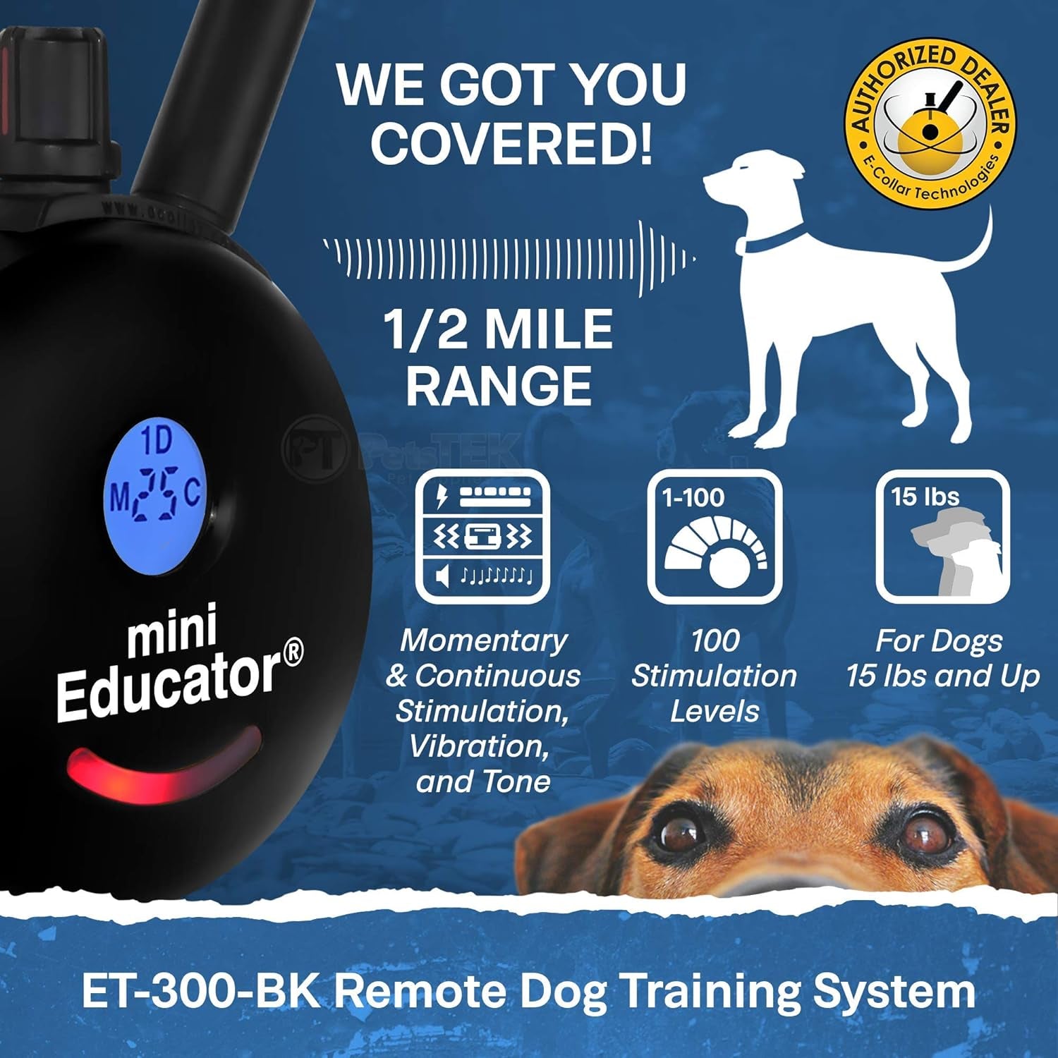 Educator ET-300 Black Ecollar, 1/2 Mile Range, 100 Levels, Waterproof, with Training Clicker
