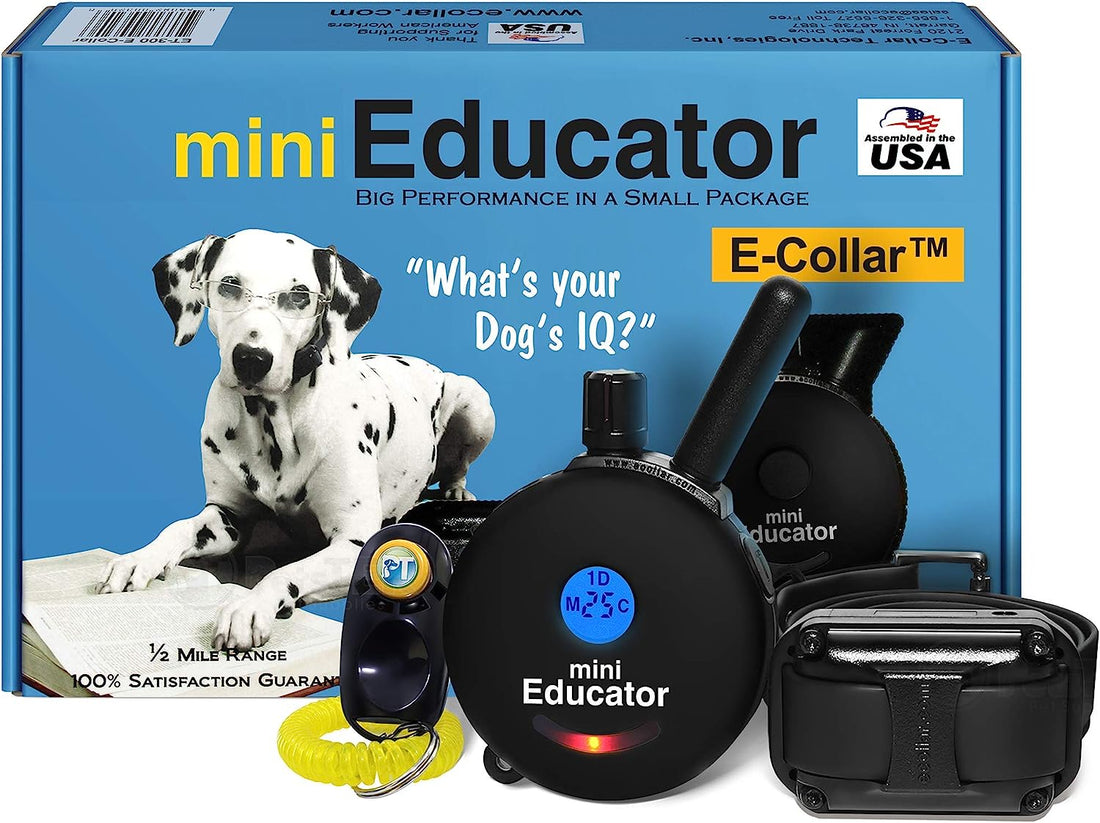Educator ET-300 Black Ecollar, 1/2 Mile Range, 100 Levels, Waterproof, with Training Clicker
