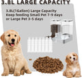 Gravity Pet Feeder & Water Dispenser Set: Automatic, Large Capacity 3.8L, For All Dogs