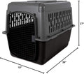 Petmate ASPEN PET Pet Porter Dog Kennel - Various Sizes, Durable & Made in USA, Ideal for Safe Pet Travel