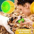 2-in-1 Interactive Dog Balls – 2.5” Squeaky Chew & Teething Toys, Dental Training for Small Dogs, 5-Pack