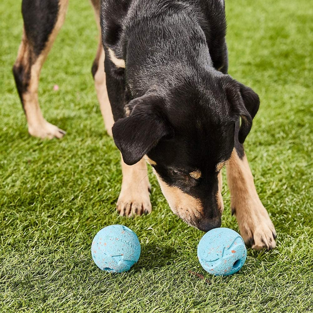 Chuckit! Medium Rebounce Ball: 2.5 Inch, 2-Pack, Durable, For Active Dogs, Blues & Purples