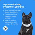 Halo Collar 3 – Wireless GPS Dog Fence & Training Collar with Real-Time Tracking, Waterproof and GPS-Enabled