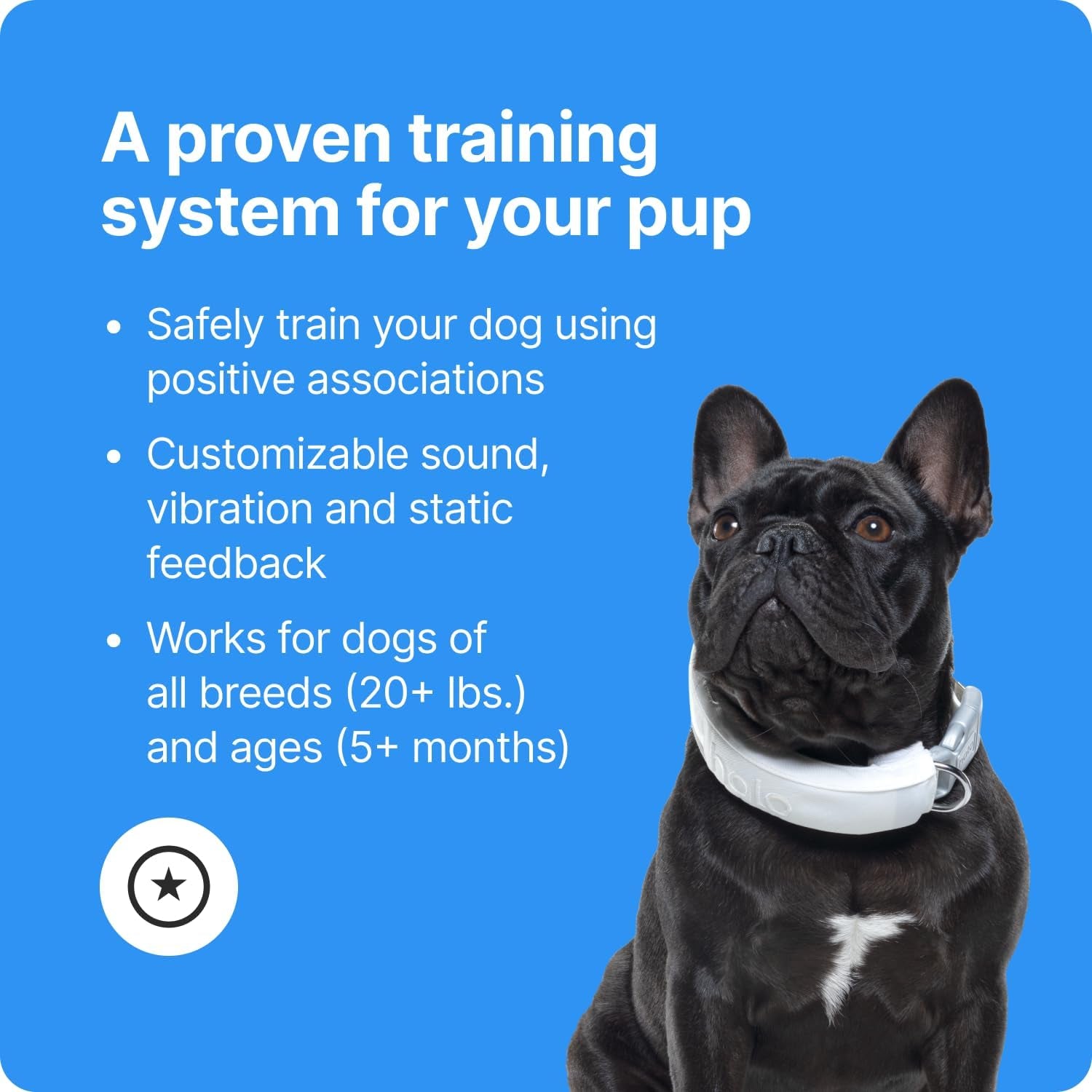Halo Collar 3 – Wireless GPS Dog Fence & Training Collar with Real-Time Tracking, Waterproof and GPS-Enabled